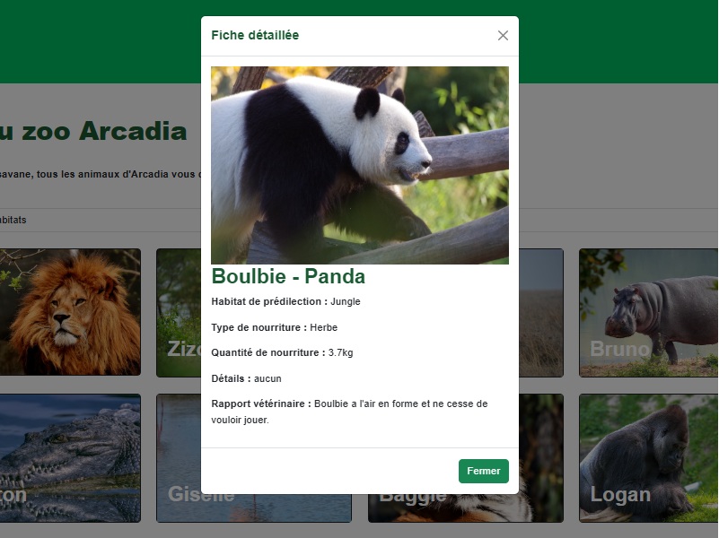 Conception d'un site pour un parc animalier - fiche animal