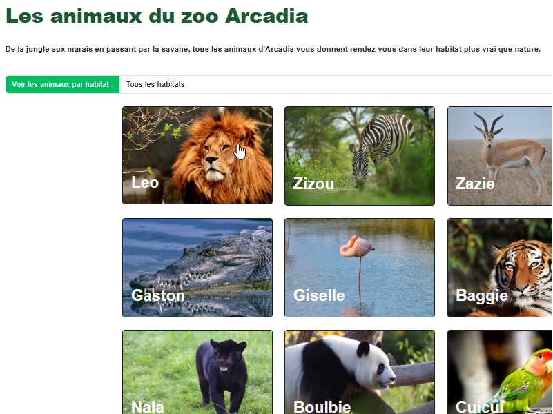 Conception d'un site pour un parc animalier - liste des animaux