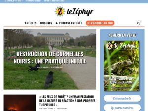 Homepage du média Le Zéphyr